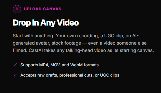 AI Video Spokesperson Software